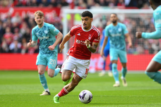 每一輪比賽 每一輪比賽