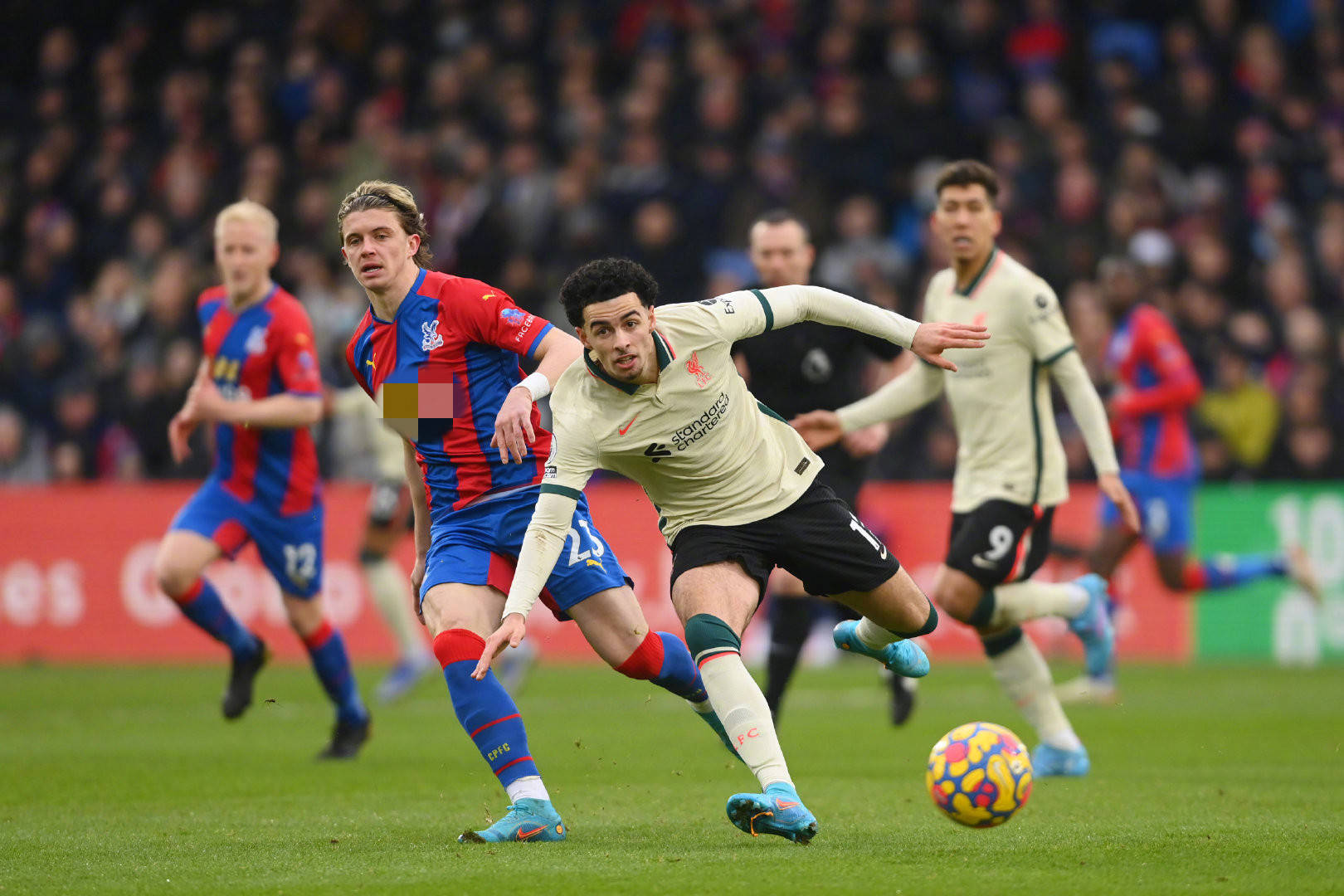 的家庭基础 的家庭基础